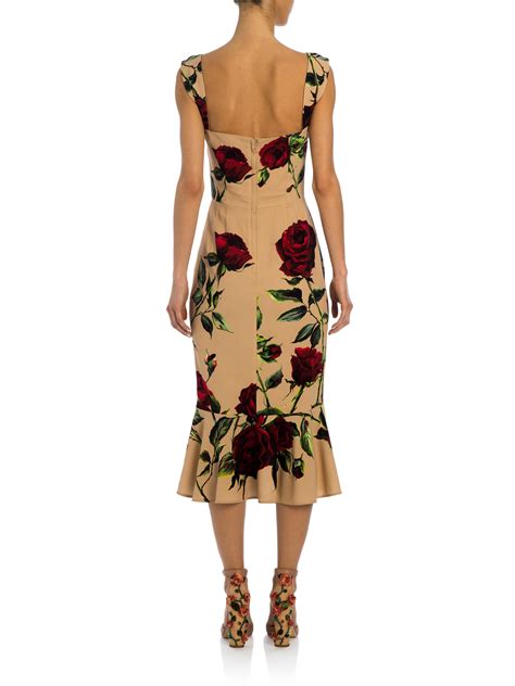 dolce gabbana rose print dress|dolce gabbana flower dress.